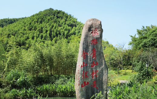 聚焦“雙碳” | 太陽(yáng)成集團(tuán)tyc環(huán)境-新至雙碳林業(yè)碳匯項(xiàng)目落...