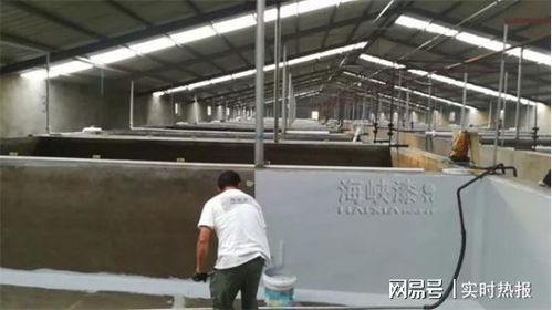 養(yǎng)殖漆 營造優(yōu)質水產(chǎn)品生產(chǎn)養(yǎng)殖環(huán)境，贏得廣泛認可