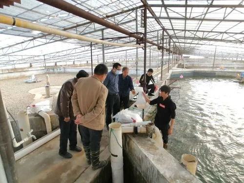 九江水產 產得出、運得走、不積壓、不賣難，力促產業平穩有序發展